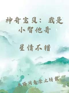 神奇宝贝:我是小智他哥