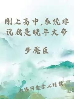 刚上高中,系统非说我是晚年大帝