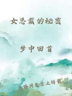 女总裁的秘密