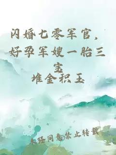 闪婚七零军官,好孕军嫂一胎三宝