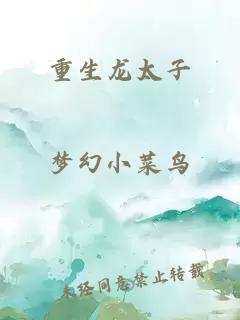 重生龙太子