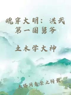 魂穿大明:洪武第一国舅爷