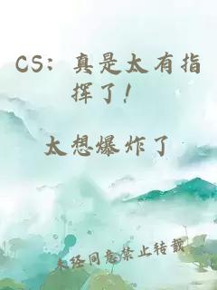 CS:真是太有指挥了!