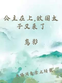 公主在上,敌国太子又来了