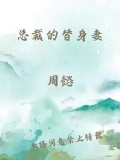 总裁的替身妻