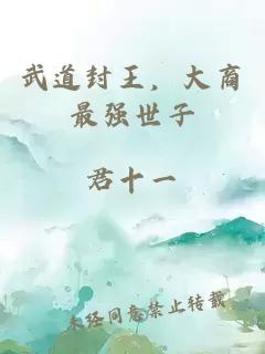 武道封王，大商最强世子