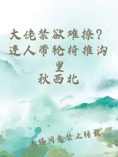大佬禁欲难撩?连人带轮椅推沟里