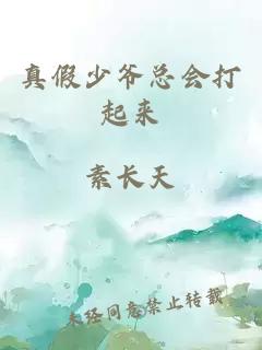 真假少爷总会打起来