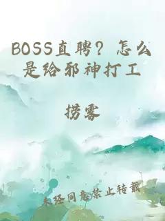 BOSS直聘?怎么是给邪神打工