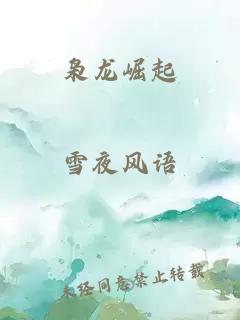 枭龙崛起