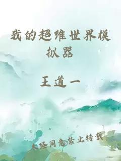 我的超维世界模拟器
