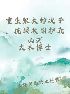 重生张大帅次子,抗战救国护我山河