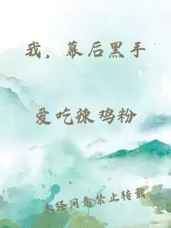 我,幕后黑手