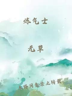 炼气士