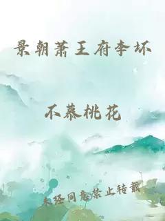 景朝萧王府李坏