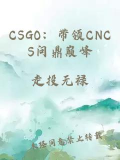CSGO:带领CNCS问鼎巅峰